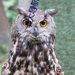 十大(大)导航软(軟)件(件)