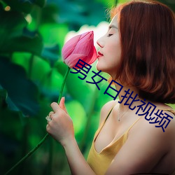 男女日批视频