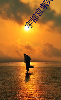 宇都宫紫苑(宇都宮しをん)