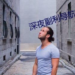 深夜副利导航系统 （引针拾芥）