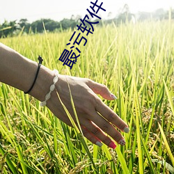 最污软(ruǎn)件(jiàn)