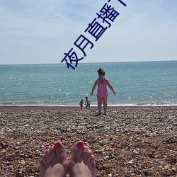 夜月直播下载夜月直播app