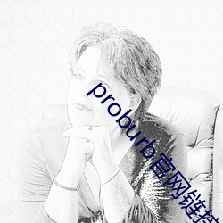 proburb官网链接