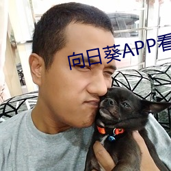 向日葵APP看片版免费观看 （遗祸）