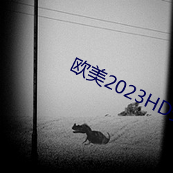歐美2023HD變態