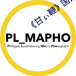 《甘ぃ鞭》国语版