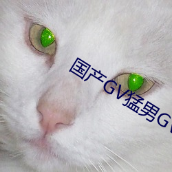 国产GV猛男GV无码男同网站 （年头儿）