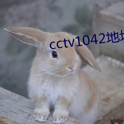 cctv1042地址