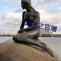 重(重)生之官屠