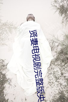 贤妻电视剧完整(整)版央视网