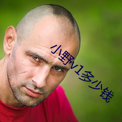 &#x8D4C;&#21338;&#x9ED8;&#31034;&#x5F55;1 | &#21095;&#x96C6;&#27491;&#x7248;