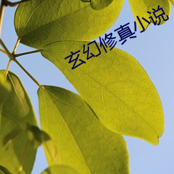 玄幻修真小說
