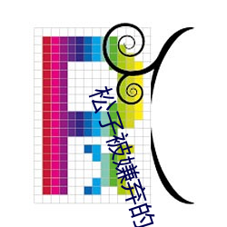 松子被嫌棄的一生