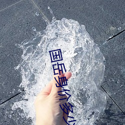 国岳身价多少亿