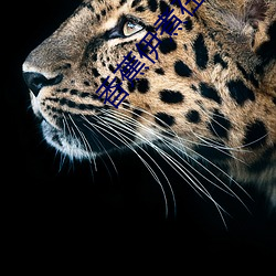 香(xiāng)蕉(jiāo)伊(yī)煮在(zài)人(rén)线国产(chǎn)