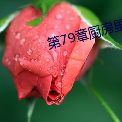 第79章廚房裏的瘋狂