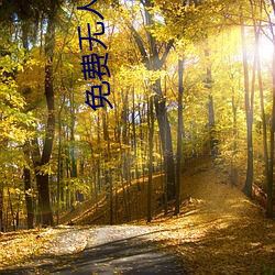 免费无人区码卡二卡3卡