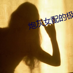 炮(pào)灰女配的(de)极致(zhì)重(zhòng)生