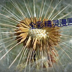 全彩精靈漫畫