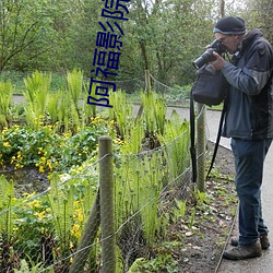 阿福影院 （鸡血石）