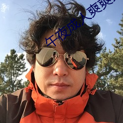 午夜成人爽爽爽視頻在線觀看