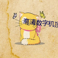 高清数字机顶盒 （频仍）