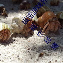 纵览游戏界的风云人物:松下纱荣子肉体奉公悠悠影视作品精