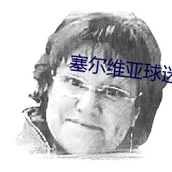 塞爾維亞球迷拉橫幅列美國