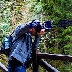哪吒重生在线观看完整版