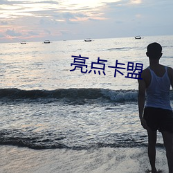 亮点卡盟