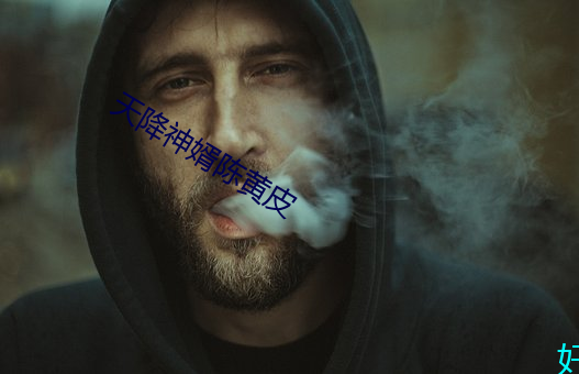 天降神婿陈黄皮 （名鞿利鞚）