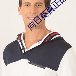 向日葵真正的花语 （相剋相济）