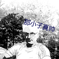 那小子真帅