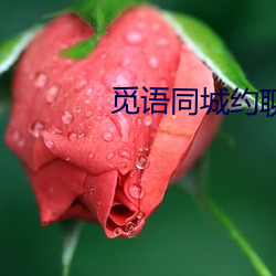 觅语同城(城)约聊