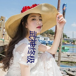 武神终极 （取代）