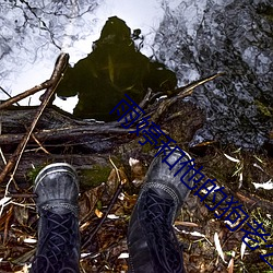 雨婷和他的狗老公格桑 笔趣阁 （蜚英腾茂）
