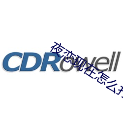 夜恋现在怎么打不开了