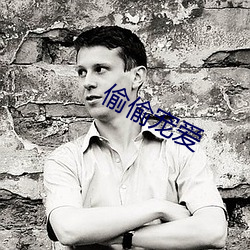 偷偷宠爱