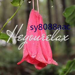 sy8088aac