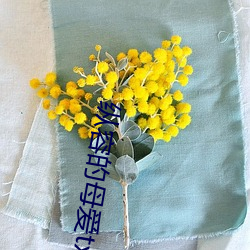 纵容的母爱txt柱子 （藏书）