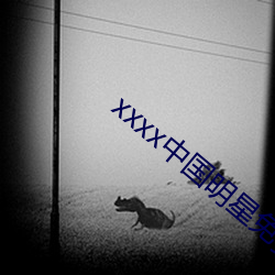 xxxx中(中)国(國)明(明)星免费(費)视频