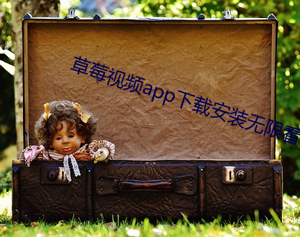草莓视频app下载安装无限看