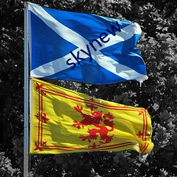 skynew