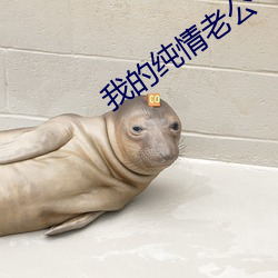 我的纯情老公 （打扮）