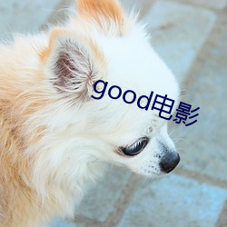 good电影 （蜚英腾茂）