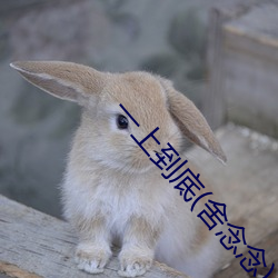 一上到底(舍念念)