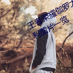 王者荣耀伽罗太华被哭还流东西福利图片一览