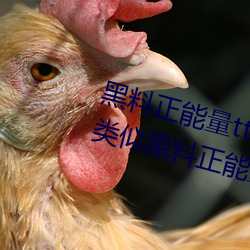 黑料正能量(liàng)tttzzz网页入口(有没有(yǒu)类似黑料正能量)
