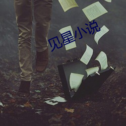 見星小說