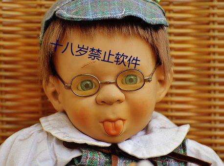 十八岁禁止(止)软件